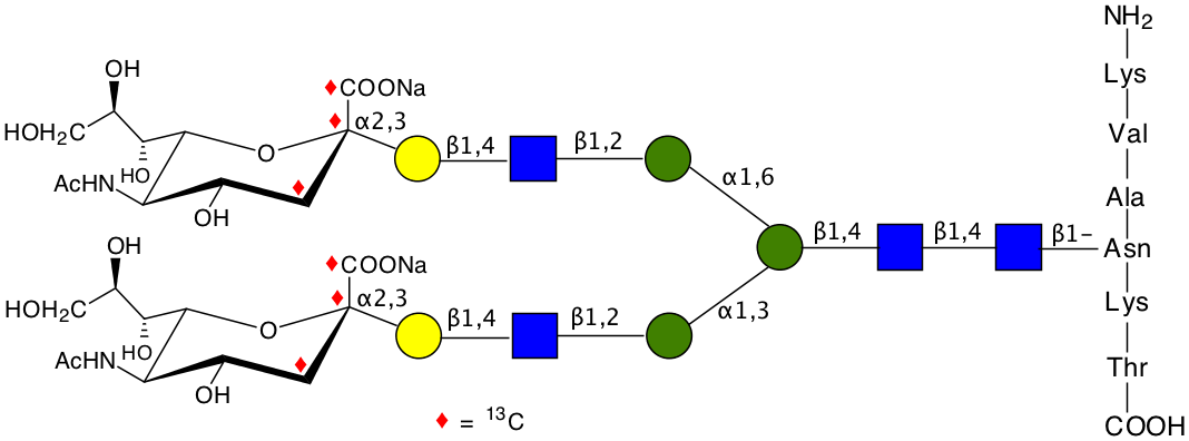 structure of NH2-Lys-Val-Ala-{[1,2,3-13C3]NeuNAcalpha2,3Galbeta1,4GlcNAcbeta1,2Manalpha1,3([1,2,3-13C3]NeuNAcalpha2,3Galbeta1,4GlcNAcbeta1,2Manalpha1,6)Manbeta1,4GlcNAcbeta1,4GlcNAcbeta-}-Asn-Lys-Thr-COOH