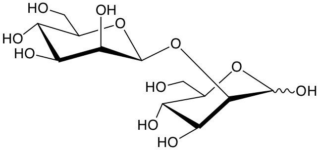 structure of Man(b1-2)Man