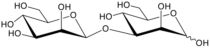 structure of Man(b1-3)Man
