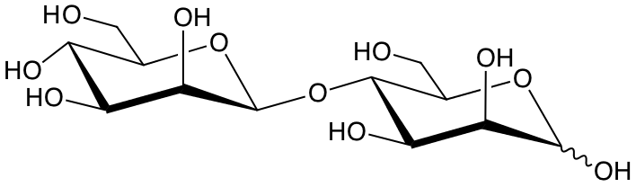 structure of Man(b1-4)Man