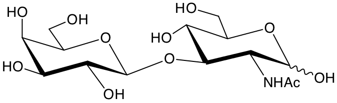 structure of Galbeta1-3GlcNAc