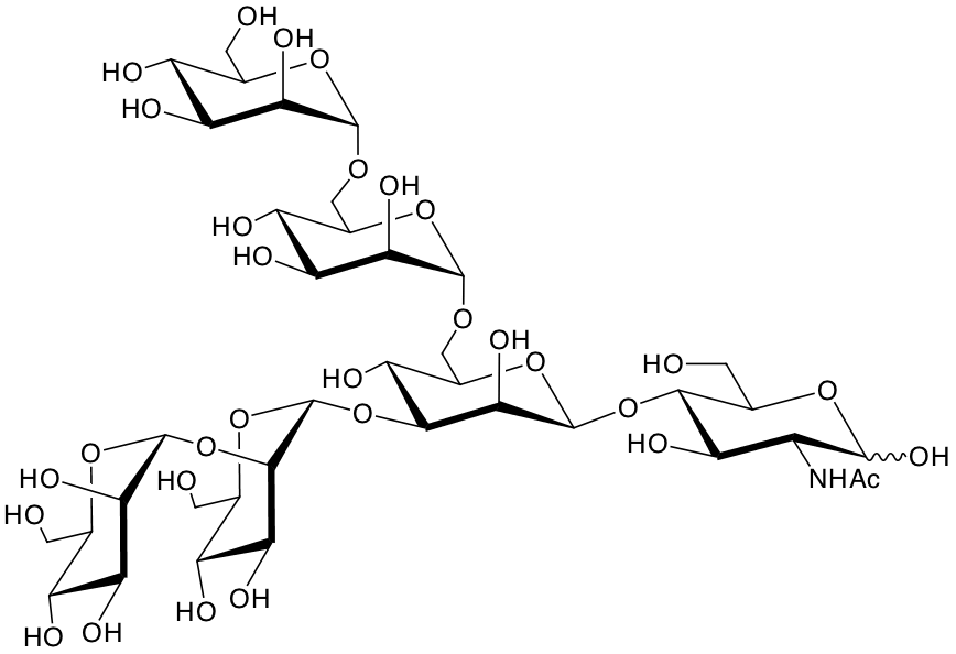 structure of Man(a2)Man(a3)[Man(a6)Man(a6)]Man(b4)GlcNAc