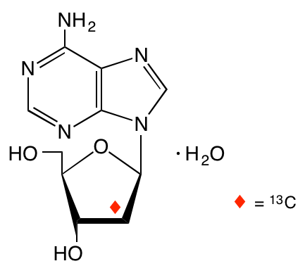 structure of [2'-13C]2'-deoxyadenosine monohydrate