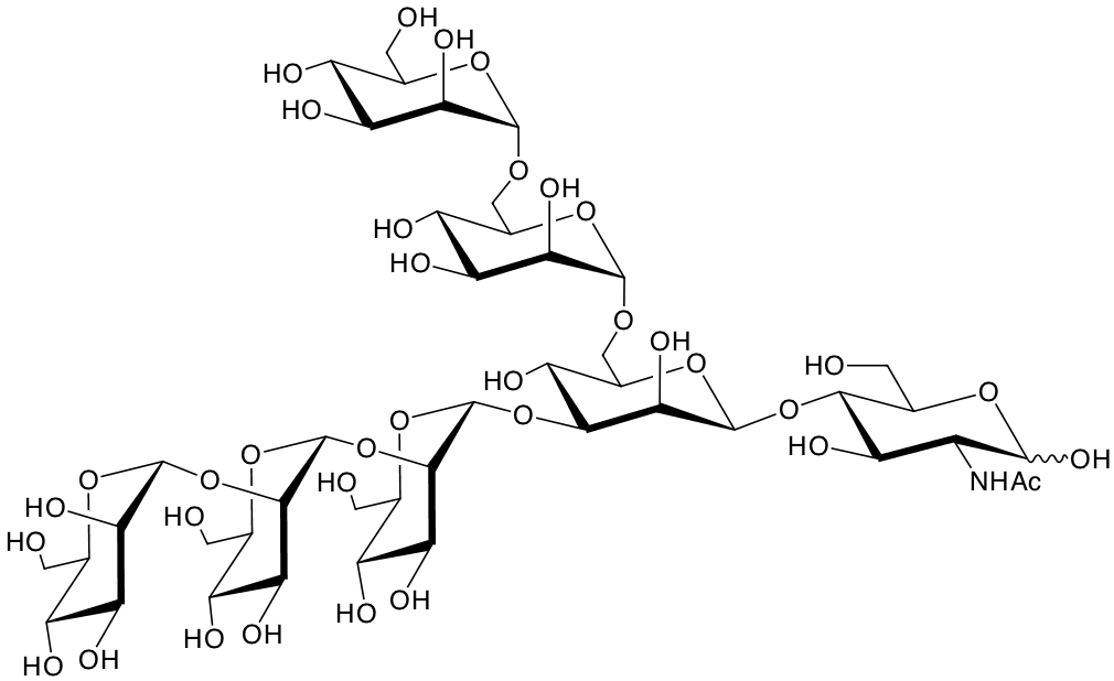 structure of Man(a2)Man(a2)Man(a3)[Man(a6)Man(a6)]Man(b4)GlcNAc